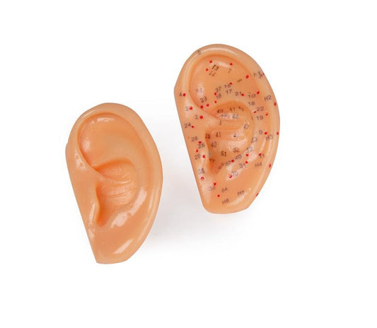 Acupuncture Ears 2-item set